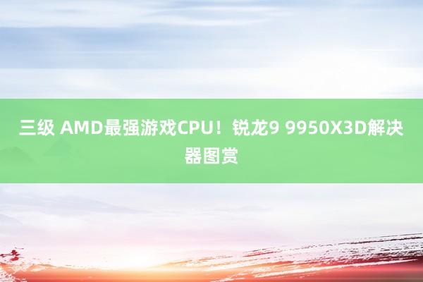 三级 AMD最强游戏CPU！锐龙9 9950X3D解决器图赏