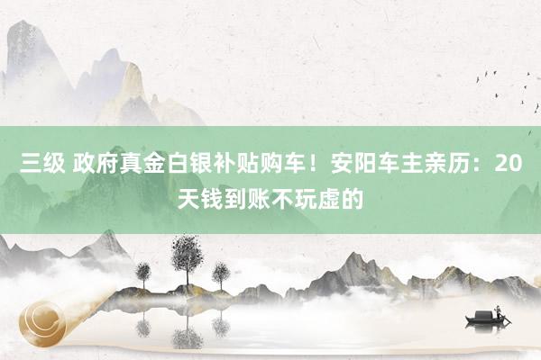 三级 政府真金白银补贴购车！安阳车主亲历：20天钱到账不玩虚的