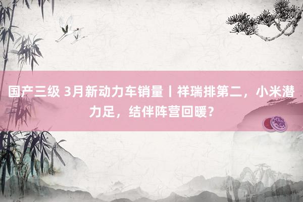国产三级 3月新动力车销量丨祥瑞排第二，小米潜力足，结伴阵营回暖？