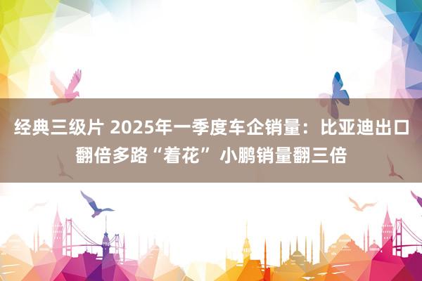 经典三级片 2025年一季度车企销量：比亚迪出口翻倍多路“着花” 小鹏销量翻三倍