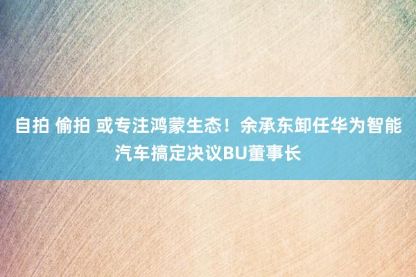 自拍 偷拍 或专注鸿蒙生态！余承东卸任华为智能汽车搞定决议BU董事长