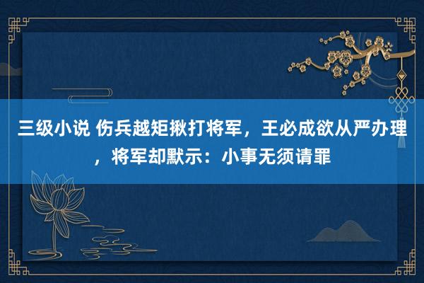 三级小说 伤兵越矩揪打将军，王必成欲从严办理，将军却默示：小事无须请罪