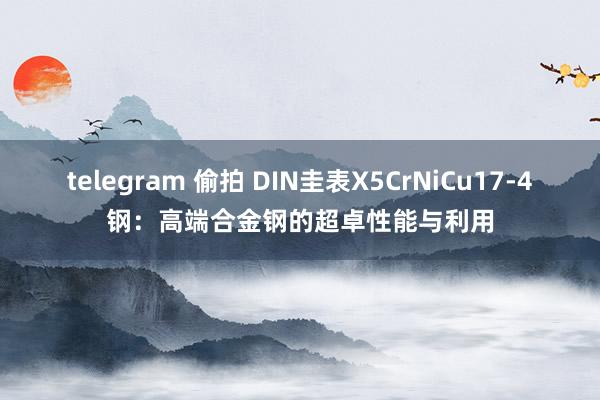 telegram 偷拍 DIN圭表X5CrNiCu17-4钢：高端合金钢的超卓性能与利用