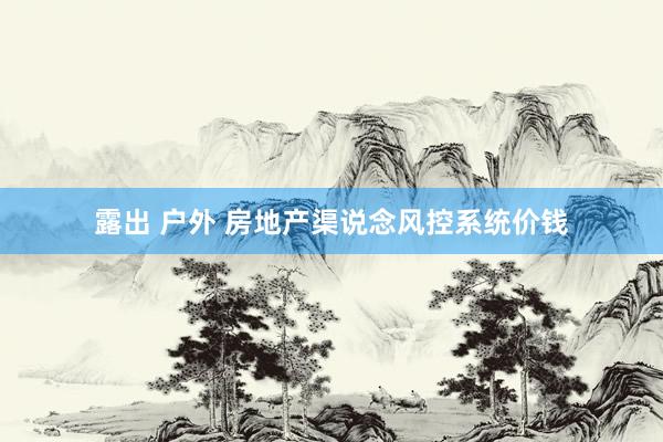 露出 户外 房地产渠说念风控系统价钱