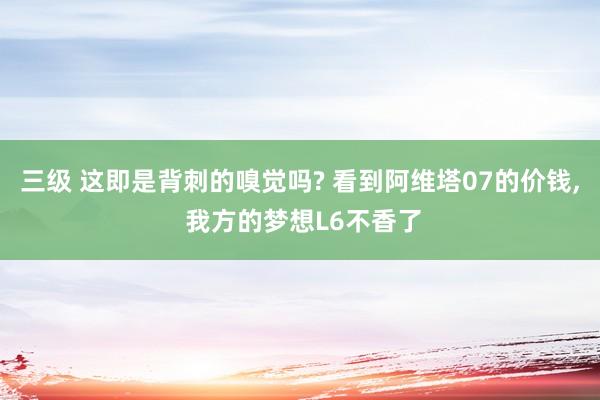 三级 这即是背刺的嗅觉吗? 看到阿维塔07的价钱， 我方的梦想L6不香了