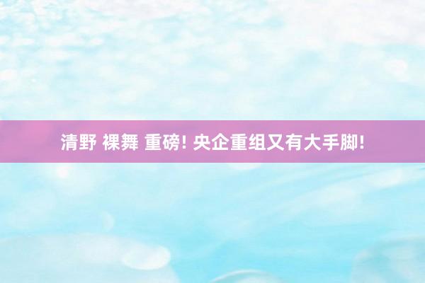 清野 裸舞 重磅! 央企重组又有大手脚!
