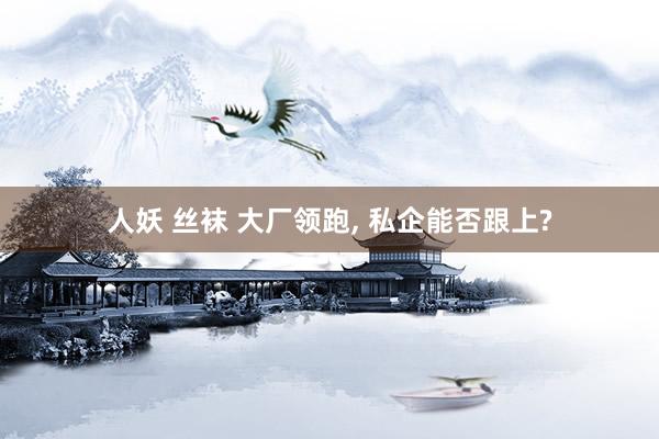 人妖 丝袜 大厂领跑， 私企能否跟上?