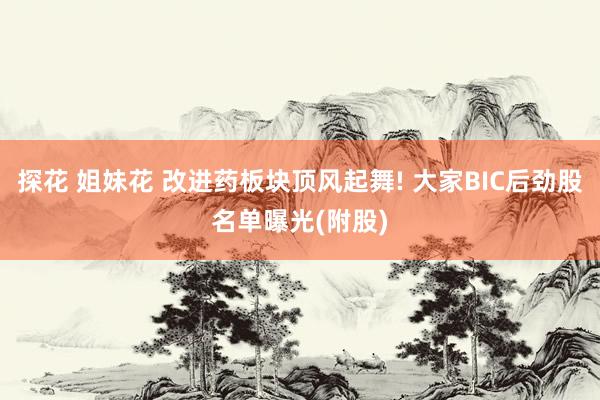 探花 姐妹花 改进药板块顶风起舞! 大家BIC后劲股名单曝光(附股)