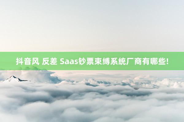 抖音风 反差 Saas钞票束缚系统厂商有哪些!