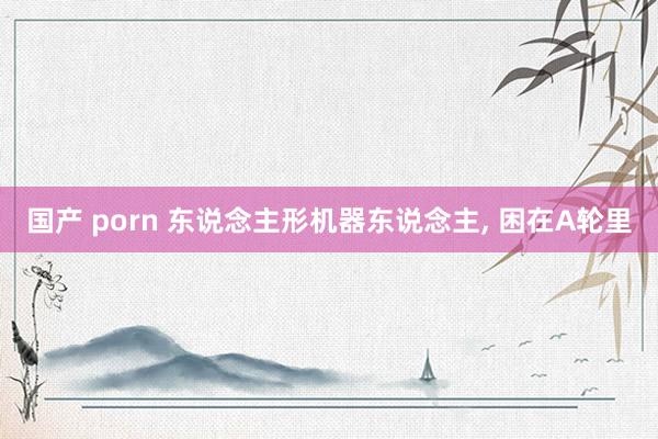 国产 porn 东说念主形机器东说念主， 困在A轮里