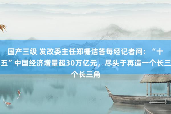 国产三级 发改委主任郑栅洁答每经记者问：“十四五”中国经济增量超30万亿元，尽头于再造一个长三角