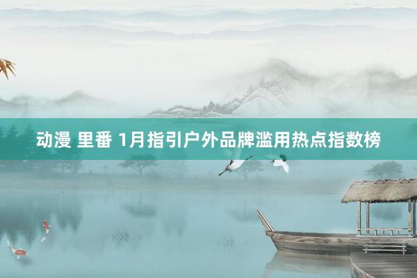 动漫 里番 1月指引户外品牌滥用热点指数榜